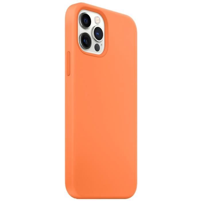 Coque Silicone - E.F.Connection - pour iPhone 13 Pro Max - Ultra Mince - Résistant aux rayures - 2 Verres Trempés