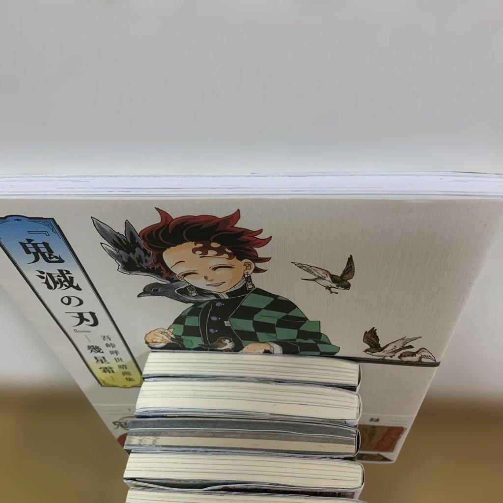 [USED] Demon Slayer: Kimetsu no Yaiba 11-volume set including official fan book, character book, and novel