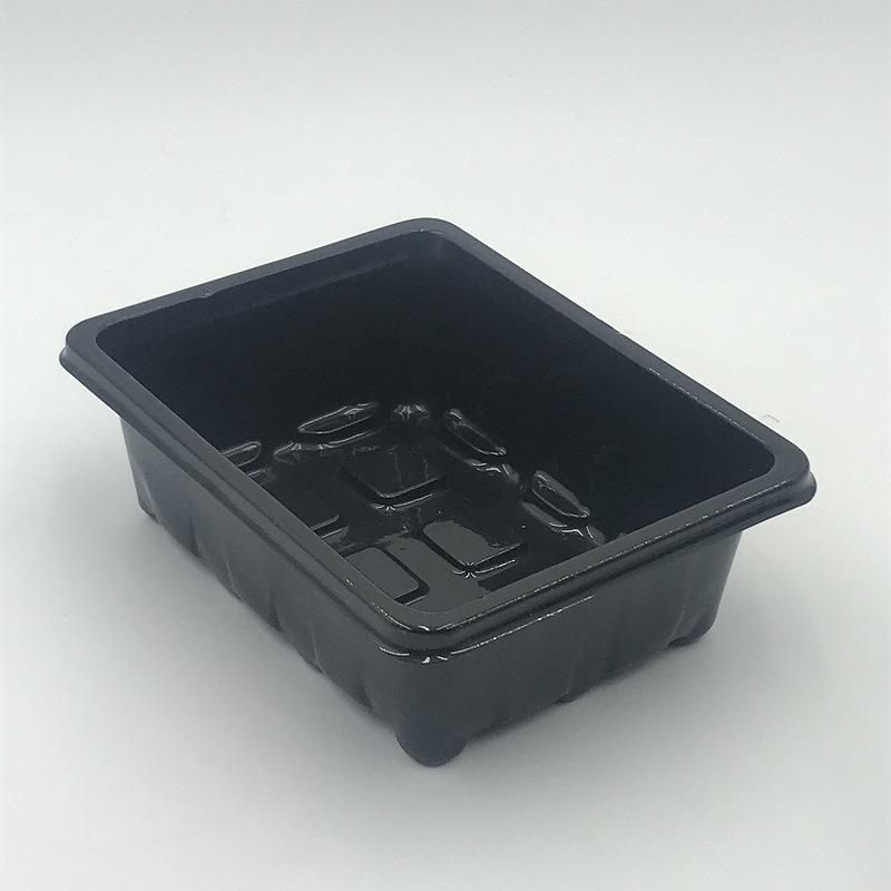 5Set (15pcs)Gardzen Seed Starter Tray Kits, Plant Germination Trays, Seed Starting Trays with Dome and Base (12-Cell Per Tray)