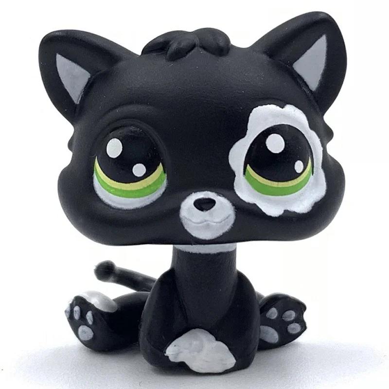 Редкая игрушка Littlest Pet Shop Lps Мини-подставки Котенок с короткой шерстью Старые фигурки Коллекция Al Игрушка на пружинке