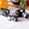 Миниатюрные реквизиты для камеры Реалистичная модель DSLR-камеры Фигурка Аксессуары для кукольного домика Реквизит для фотографии Декор детской комнаты