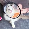 Мягкий Регулируемый Защитный Чехол для Питомца Против Вылизывания и Царапания Защитный Ошейник для Питомца Конус Восстановления Anti-Bite Товары для Животных