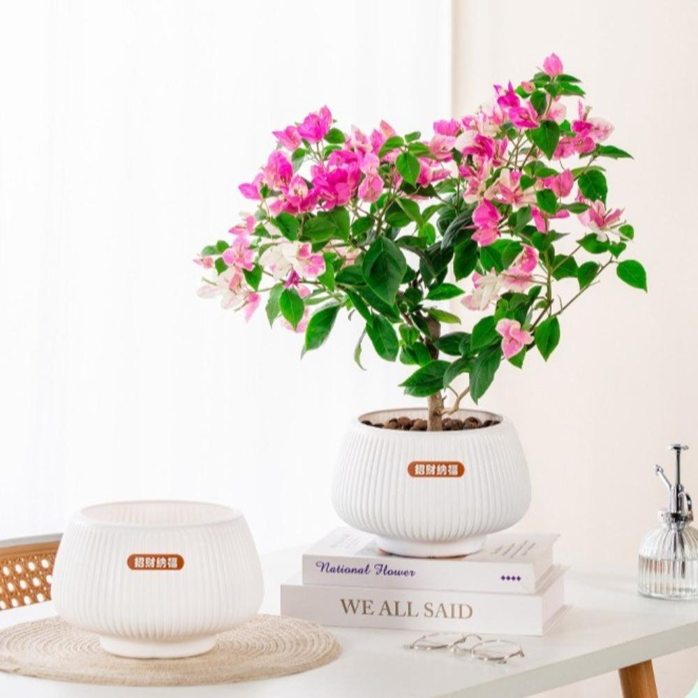 Самополивающиеся гидропонные растения горшок пластиковый офис бонсай декор