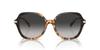 Sunglasses HC8377U CL925 HONEY TORTOISE BLACK GRADIENT 55 Women's