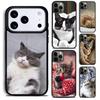 Милый Чехол-Животное Кошка Для iPhone 17 16 15 14 13 12 11 Pro Max Plus 17Air Мягкая Силиконовая Крышка