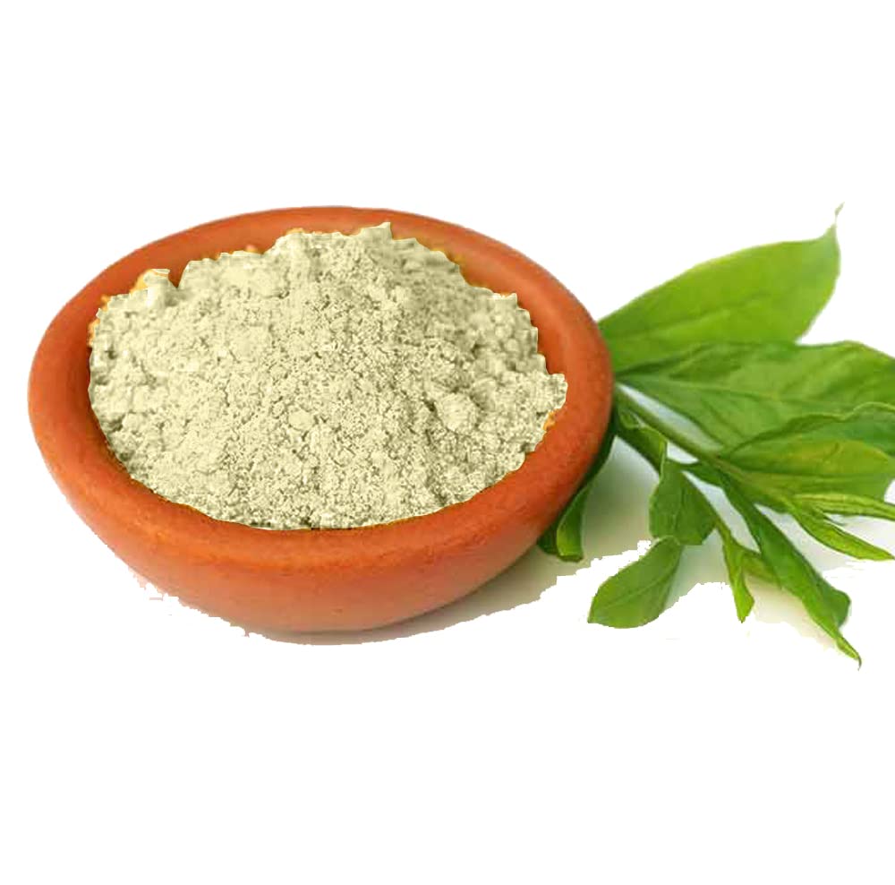 Botanic Garden Aloe Vera Leaves Powder, Aloe Barbadensis Miller | 250gm 0.5lbs