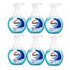 Walch Foaming Antibacterial Hand Wash - Healthy Care