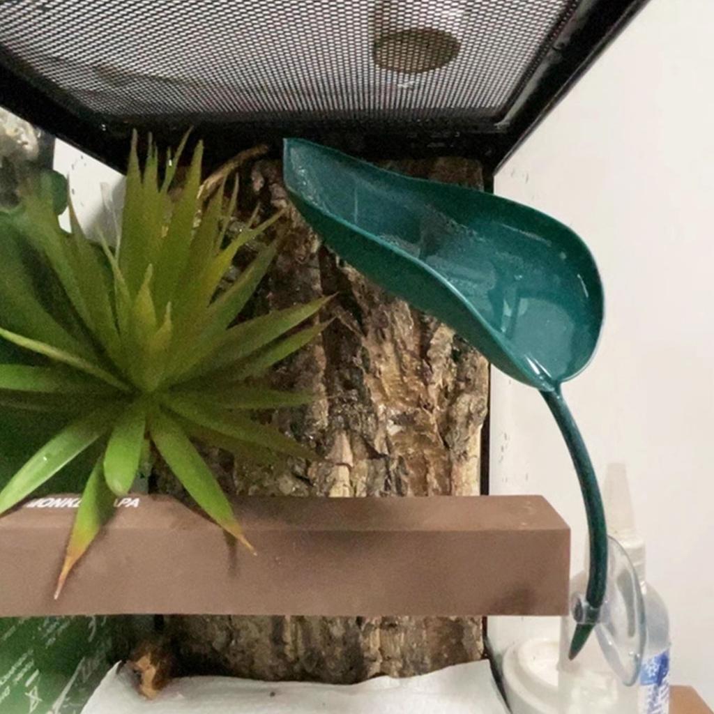 Платформа для купания черепах 6 шт. Аксессуары для террариума древесных лягушек Платформа в форме листа для бородатой агамы Присоски Листья для отдыха