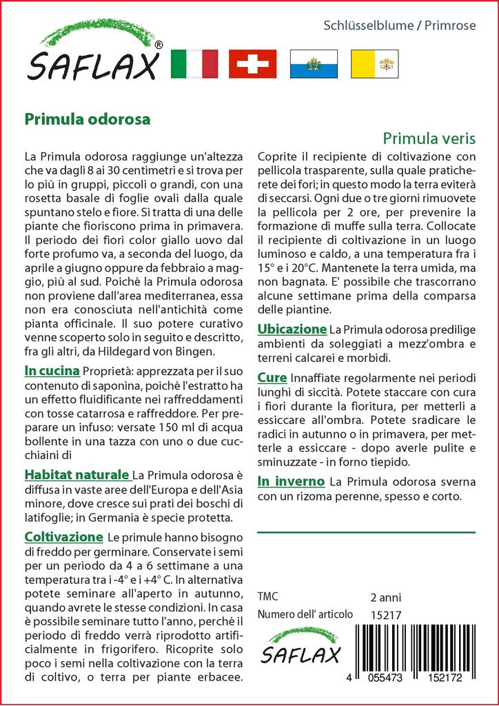 SAFLAX Garden in the Bag - Примула - 100 семян - С субстратом в подходящем пакете-стойке - Primula veris