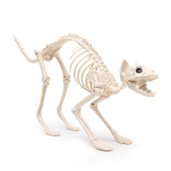 Хэллоуин Скелет Кошки Украшение Ужас Пластиковый Котенок Скелет Кость Украшение с Подвижной Челюстью Шея Хвост для Вечеринки на Хэллоуин Домашний Двор Декор