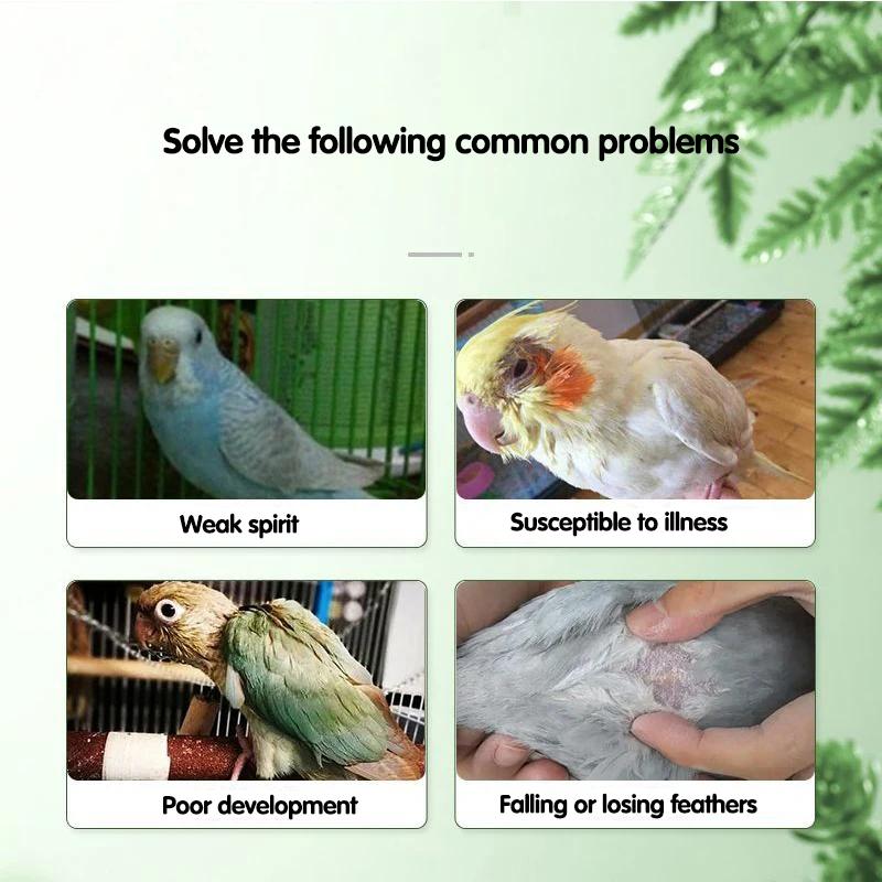 Birds use Golden Vita Multi-Vitamin to promote growth resist stress and have beautiful feathers Suitable for pigeons parrots