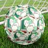Sarah & Duck Theme Size 5 Soccer Ball, Suitable for Both Indoor and Outdoor Matches, a Gift Suitable for Everyone.