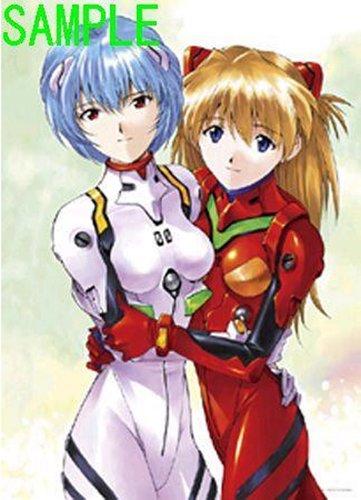 500 Piece Jigsaw Puzzle Neon Genesis Evangelion Rei Asuka & (38x53cm)