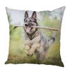 Персиковый кожаный чехол для подушки Подушка с изображением овчарки Домашнее животное Животное Подходит для детской комнаты