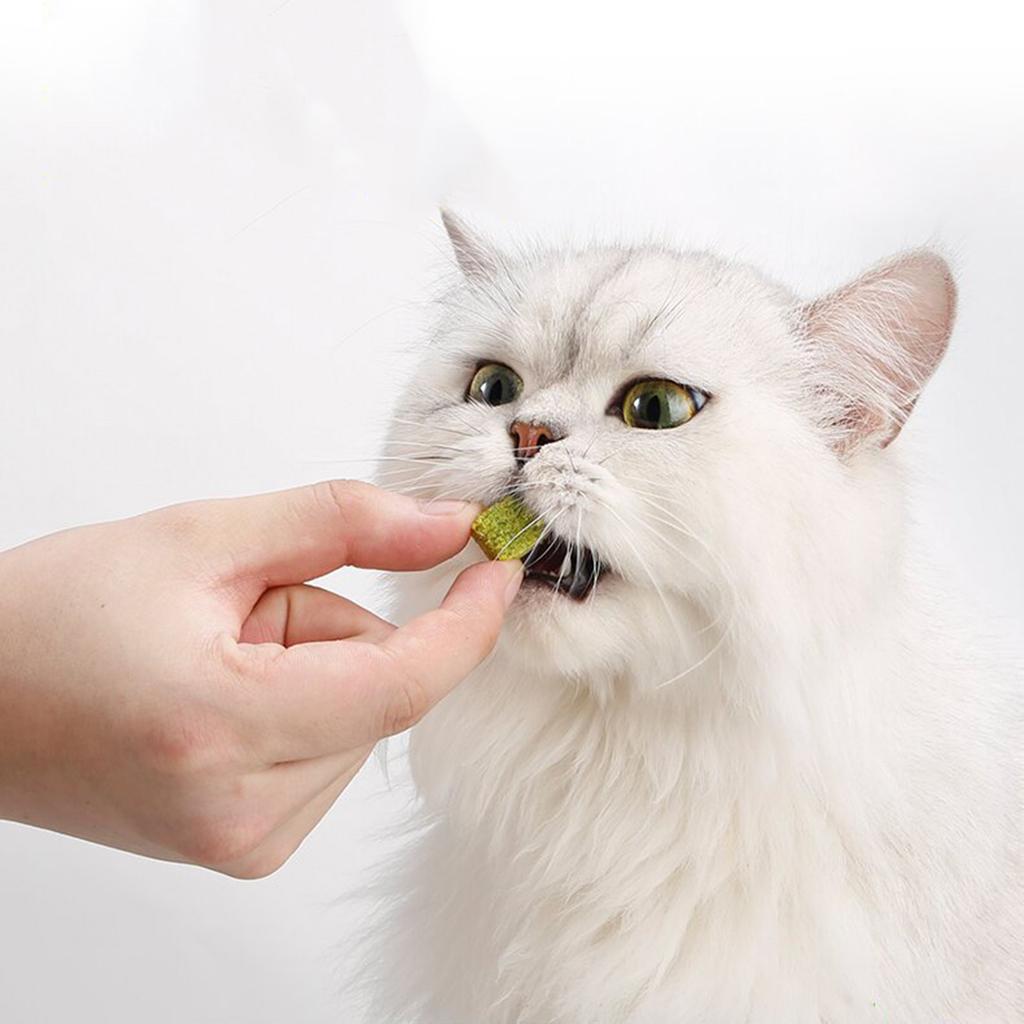 Natural Cat Grass Wheatgrass Chewing Snacks Keep Your Cat Active and Happy Promote Dental Care Wheatgrass for Kitten