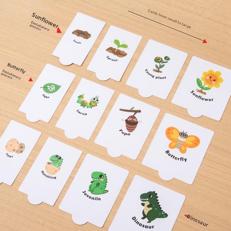 Цикл роста Монтессори Пазл Деревянная развивающая игрушка для дошкольного обучения