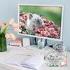 Spiareal Friends Gifts for Women Friendship Bestie Plaque Thanksgiving Best Flower Sister Birthday Thank You Gift for Female Acrylic
