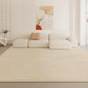 2024 Minimalist French Luxury Waterproof Carpet: Living Room & Bedroom Floor Mat, Easy To Clean