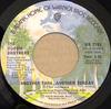 7-дюймовая пластинка DOOBIE BROTHERS Another Park Another Sunday WB7795 WARNER BROS. RE 1974 Канада Скала Использованная