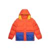 THE NORTH FACE Mens Color Block Sierra Parka NF0A5EIE-0TV