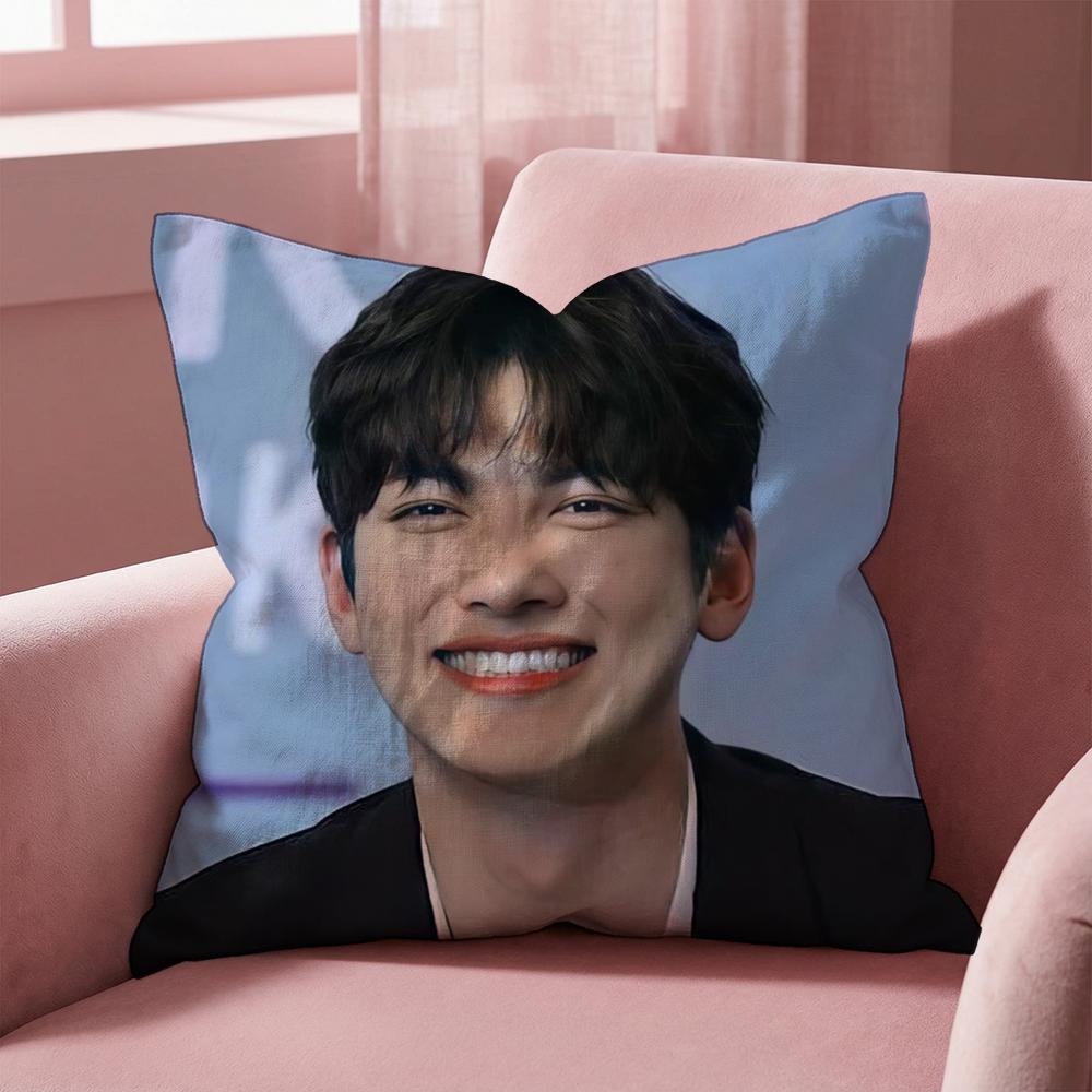 Чехол для подушки J-Ji C-Chang Wook, многоцелевой чехол для подушки для дома и автомобиля - Двусторонний, мягкий и прочный для ежедневного использования