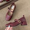 Fashion temperament French retro square head shallow mouth single shoes women's 2025 new spring and autumn skirt Mary Jane small leather shoes
