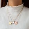 Фото-подвеска на шею из нержавеющей стали, DIY, Альбом для фотографий с бабочкой, Выдвижной, Неправильной формы, Подвеска-камера, Ожерелье