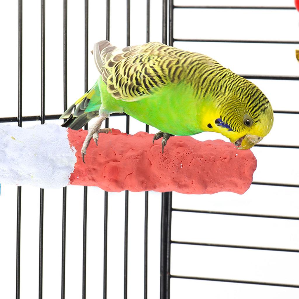 Premium Calcium Infused Bird Perch for Parrots Standing Rest Chewing Grinding Activity Center Boredom Relief Pet Bird
