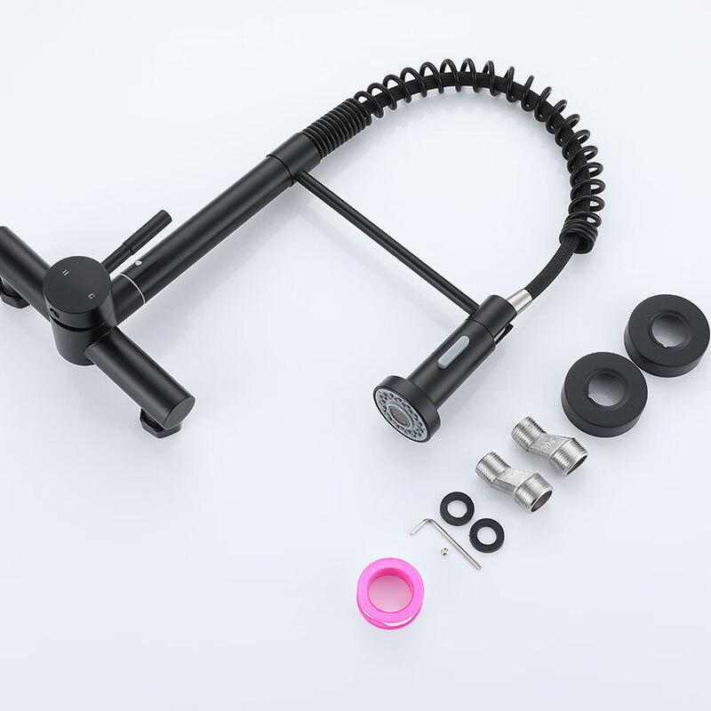 Lieve Kitchen Sink Faucet with Pull-Out Sprayer