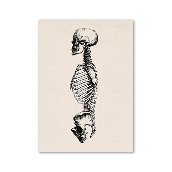 Vintage Human Anatomy Artwork Medical Wall Picture Muscle Skeleton Poster Canvas Art Print Education Hospital Pharmacy Paintings