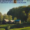LP Record BILLY VAUGHN - Country Greatest Hits YP8021AB ABC Japan New Age & Easy Listening Used