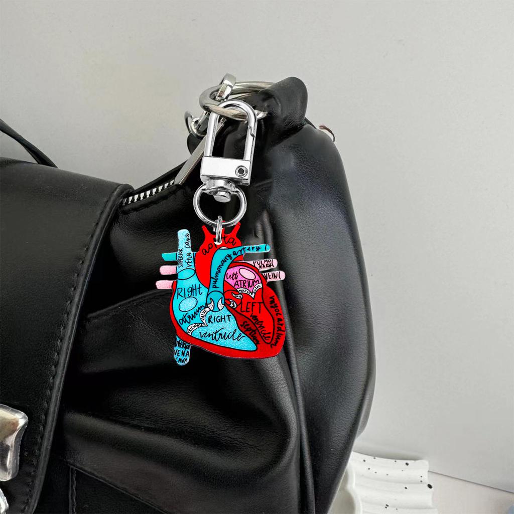Human Heart Diagram Keychain Detailed Heart Keychain Accessory for Teaching Anatomy To Adults and Children