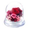 Preserved Petit Preserved Dried Flower Flowers That Never Women Flowers, Dome, Flowers, Red, Handmade, Materials, Flowers, Gifts, Celebrations,