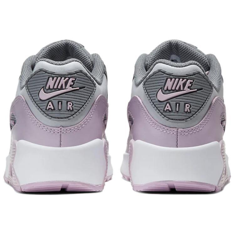 Nike Air Max 90 Leather 'Iced Lilac' Gs CD6864-002