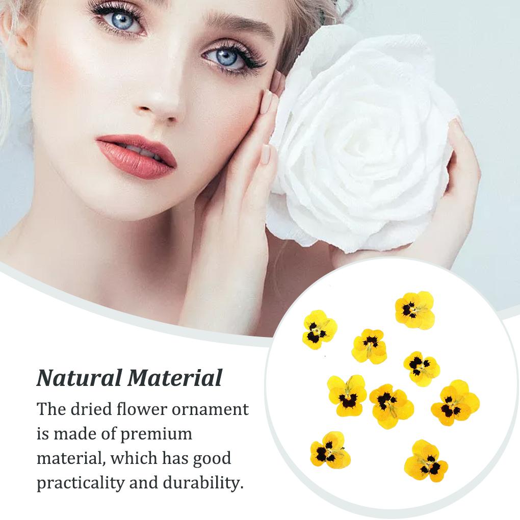 12 предметов Crafts Simple Style Make Accessories Украшение для макияжа Прессованные цветы Craft Jewelry Decor Accessories