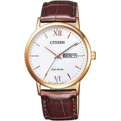 Мужской BM9012-02A ( Часы CITIZEN COLLECTION Eco-Drive Day-Date мужские) Круглые часы коричневые