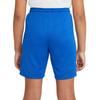 Nike Шорты Dri Fit для подростков, синие, BV6865-463