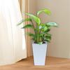 Plant Pot Self Watering Flower 10.7inch Tall Lightweight Multifunctional for Orchids Accessories