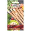 Семена овощей Salsify Mammouth для сада 2г