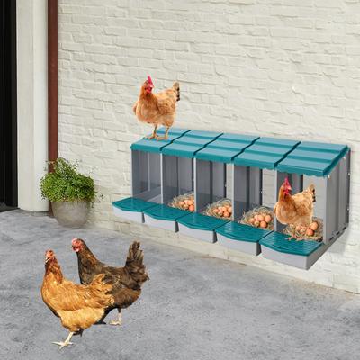 5-секционный ящик для гнездования кур, гнездо для несушек для сбора яиц, идеально подходит для курятников на заднем дворе и птицеводства