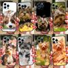 Чехол для телефона с милой собакой для iPhone Samsung Galaxy Redmi Xiaomi Oppo OnePlus Note SA 7 8 9 10 11 12 13 14 20 21 22 23 53 54 Pro Max Plus Ultra TPU Soft