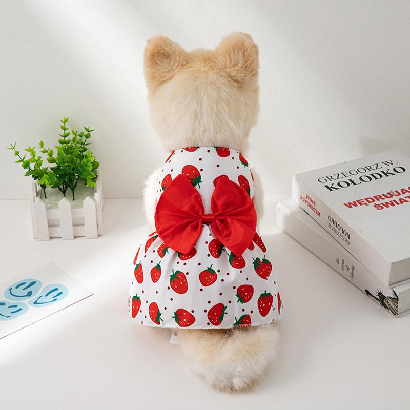 Spring Summer Autumn Dog Princess Dress Kitten Pet Skirt Cute Dog Dress Bow Lace Small Medium Puppy Poodle Chihuahua