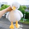 Куклы и мягкие игрушки – Мягкие и плюшевые игрушки животных