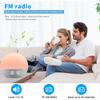 Wake Up Light Alarm Clock Sunrise/Sunset Simulation FM Radio Color Night Light  White Noise Machine Bedside Clock for Home Decor