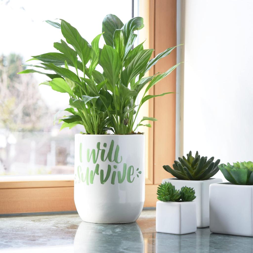 Mitsubishi Pencil Водный маркер Posca Тонкий наконечник Круглый наконечник 15 цветов PC3M15C