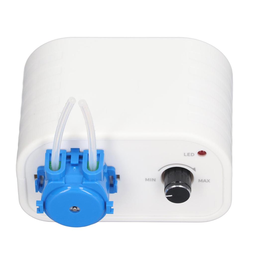 Перистальтический насос циркуляционный водяной насос постоянного тока 12 В щеточный двигатель для розлива жидкости 100?Вилка 240 В, США