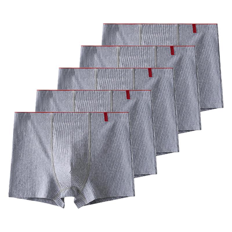 5 штук мужских боксеров хлопковое нижнее белье антибактериальные трусы мужские трусы XL XXL 3XL 4XL 5XL