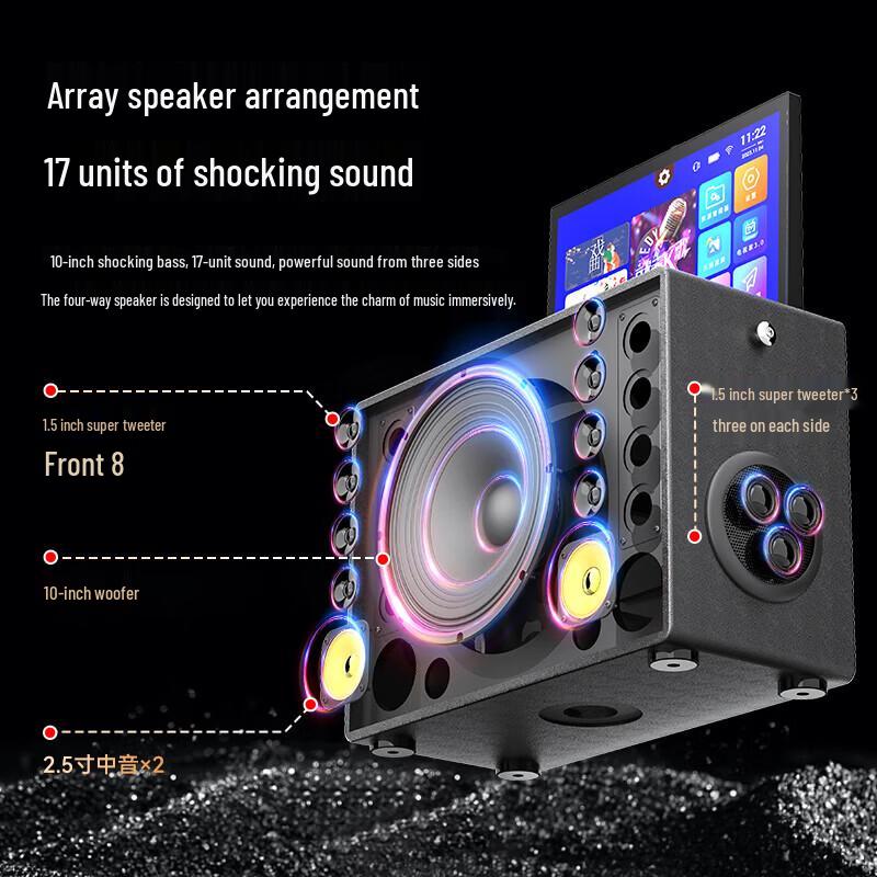 Newman N525 Portable Bluetooth Karaoke Speaker System (CN version)