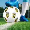 Футбольный мяч SBV Vitesse, разноцветный, подходит для всех возрастов, машинная сшивка, материал ПВХ, соревновательного уровня, прочный и с высоким отскоком