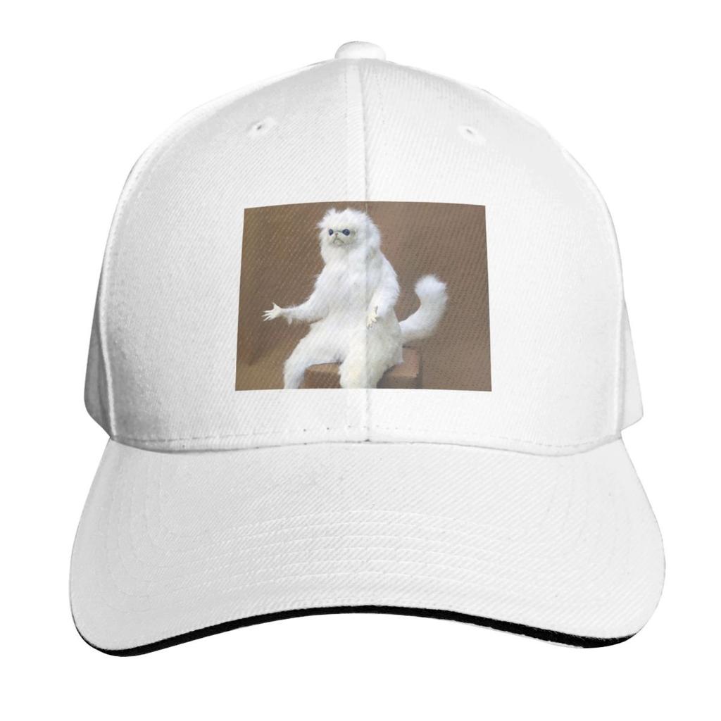 Persian Cat Room Guardian Baseball Cap black Dropshipping Big Size Hat winter hats for Unisex Unisexs Womens